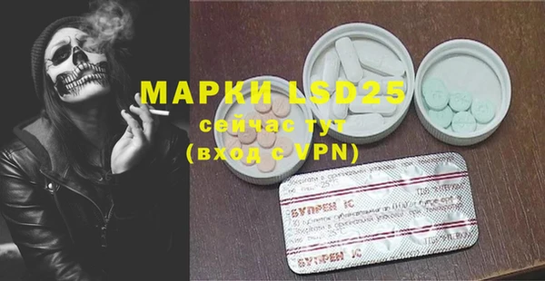 apvp Пересвет
