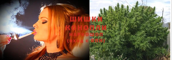 apvp Пересвет