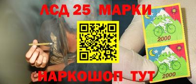 стаф Дубна