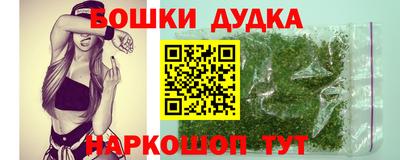 стаф Дубна