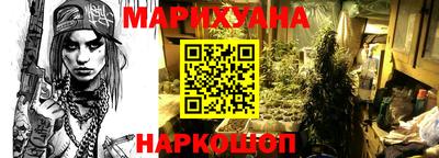 стаф Дубна