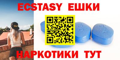 стаф Дубна
