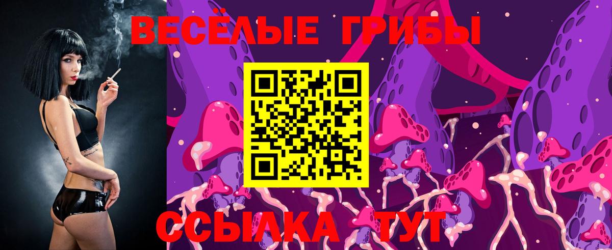 купить наркотик  Вход с VPN  Ступино  Галлюциногенные грибы мицелий  Галлюциногенные грибы Psilocybine cubensis 
