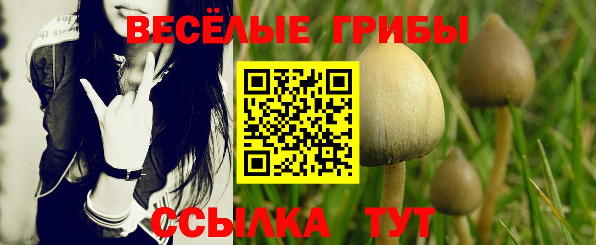 Мефедрон  КОКАИН  Меф  COCAIN  Ступино  Ляпка  Канабис  A-PVP  Марихуана  Вход с VPN  Molly 