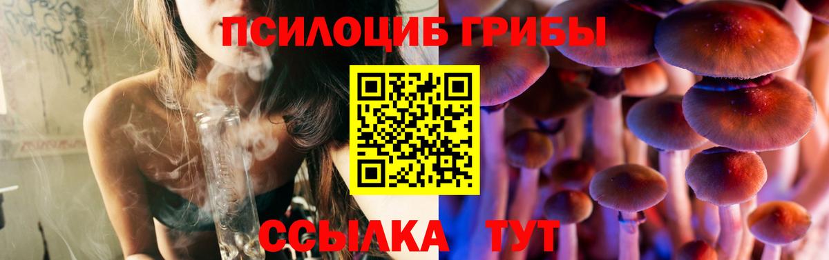 Галлюциногенные грибы Psilocybe Ступино