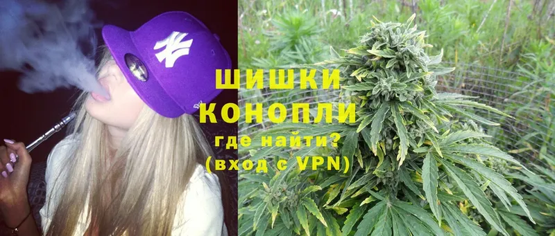 Канабис OG Kush  Ступино 